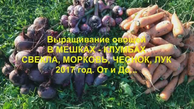 Выращивание овощей в Каркасных КАШПО-КЛУМБАХ мод.М9030. СВЕКЛА, МОРКОВЬ, ЧЕСНОК, ЛУК. 2017 ГОД.
