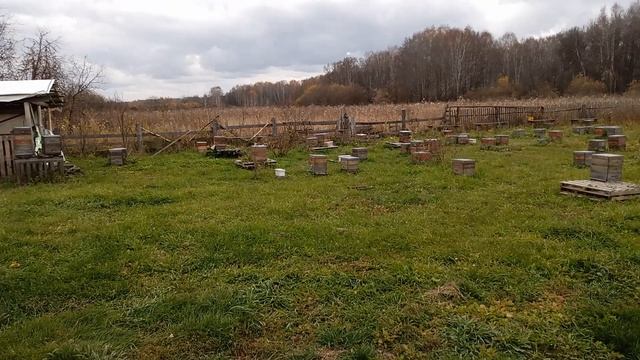 миг на пасеке 7 октября 24 года.