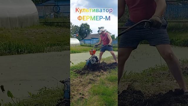 Культиватор мотоблок с двигателем из бензопилы Дружба