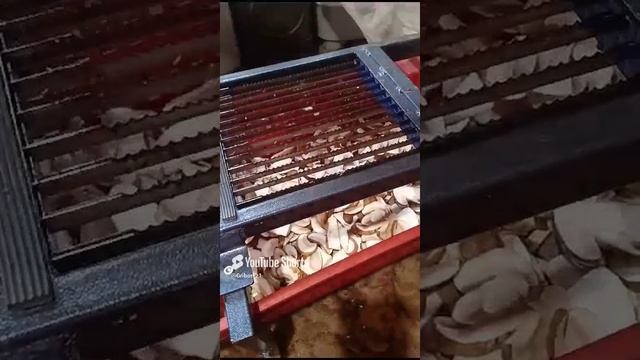 1000110706.mp4