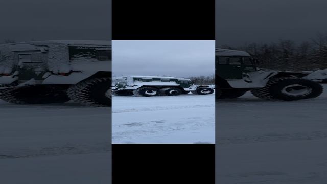 Двор почистил.