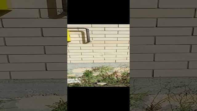 1000010198.mp4