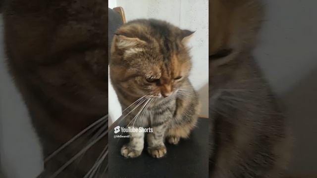 Если парня зовут.mp4