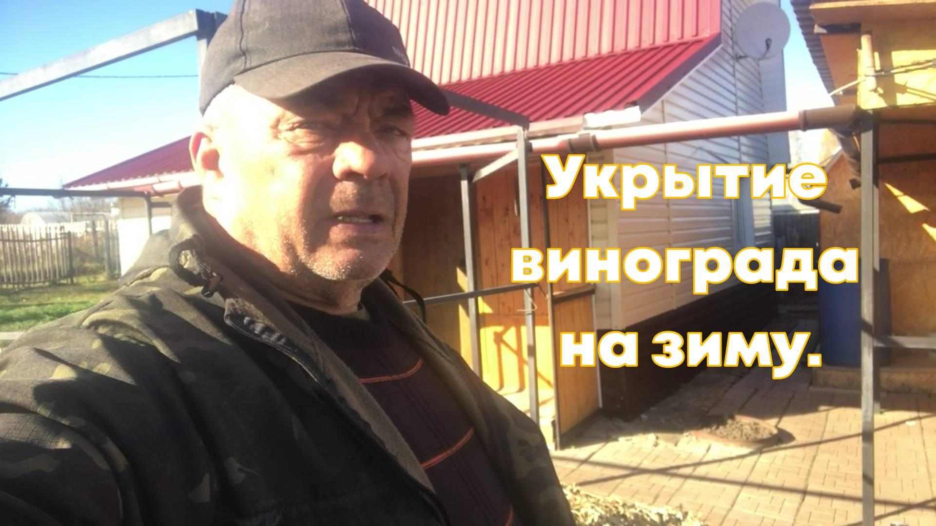 Укрываю виноград.