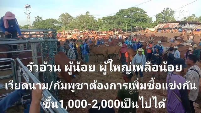 จะออกพรรษาหรือปีใหม่..3เดือนหรือ6เดือน...จากนี้ไป...?