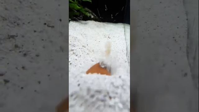 video_2024-07-22_08-07-48