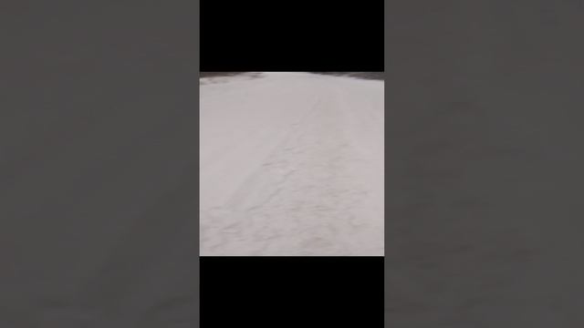 1000023125.mp4
