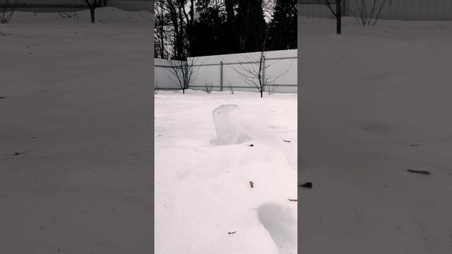 #6.35 vs #ice  #airgun #edgun #gun