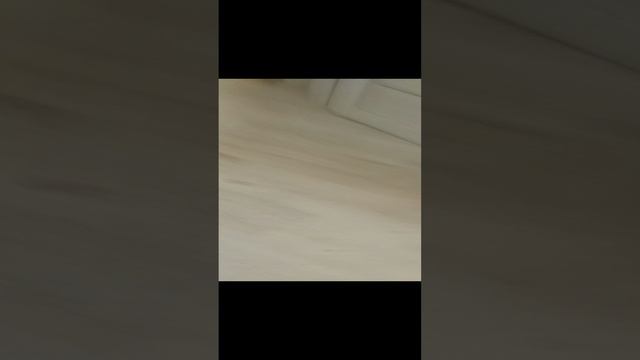 Шоу соника как соник сражался с роботом часть 2