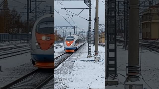 Сапсан на станции Малая Вишера #железнаядорога #сапсан #эвс1 #ласточка #быстрыйПоезд