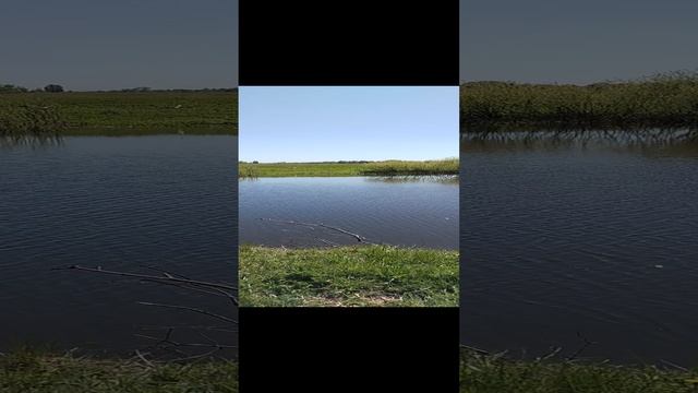 Рыбалка в ветер