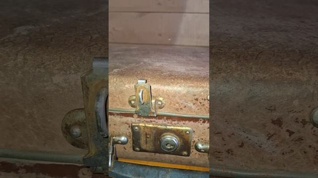ЧЕМОДАН С СЕРЕБРОМ