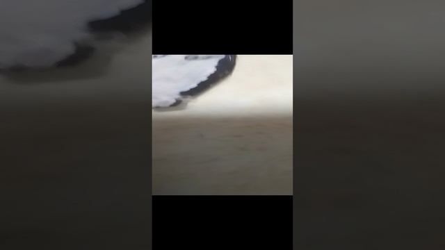 VID_20241223_213209.mp4
