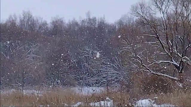 Метель