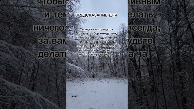 Подсказка дня #7гроз #веды #нумерология #астрология #магиячисел #подсказка #знакизодиака