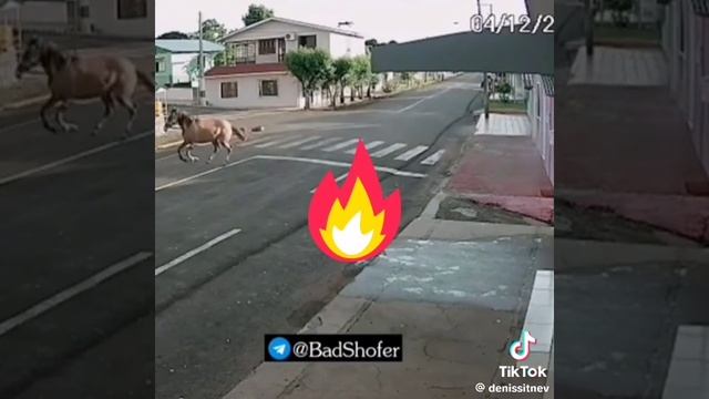 жесть