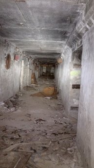 УБЕЖИЩЕ ☢️часть 1, на реальных событиях 👻