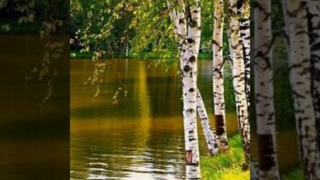 Ностальгия по Рассии