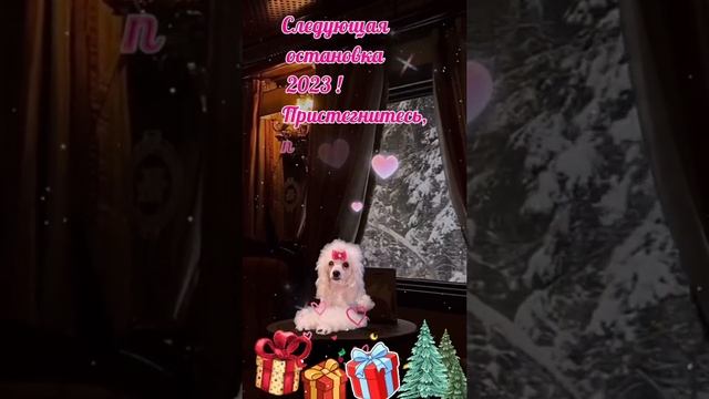 Следующая станция НОВЫЙ ГОД🎄🎄🎄