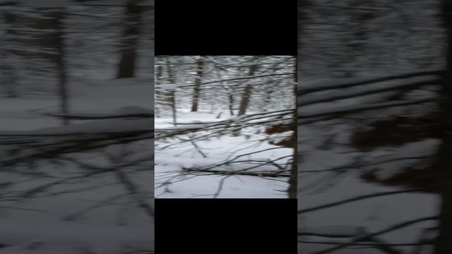 1000016432.mp4