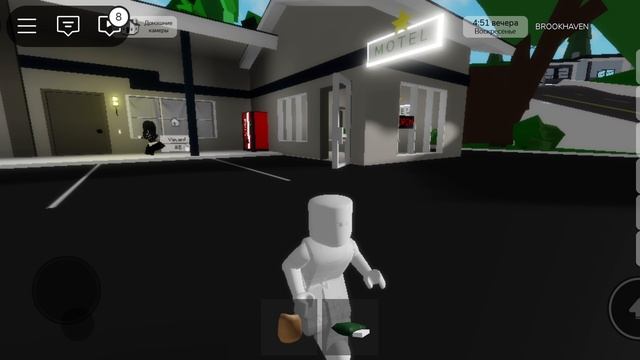 Слежу за людьми в Brookhaven RP и проверяю дома 🏘️🏚️🏰