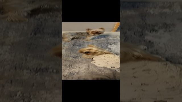 собакен черепашка