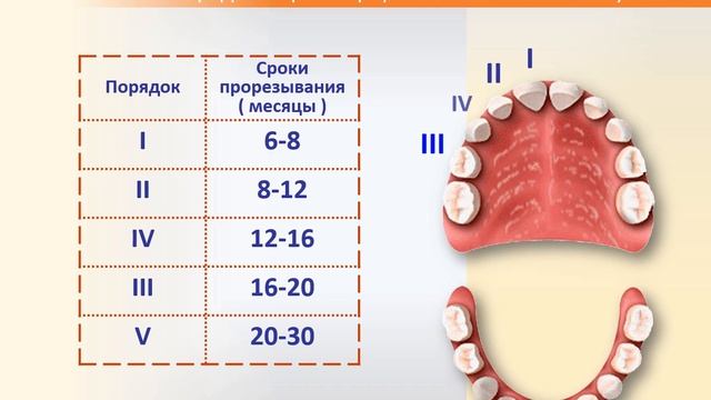 02 Периоды развития ЗЧС