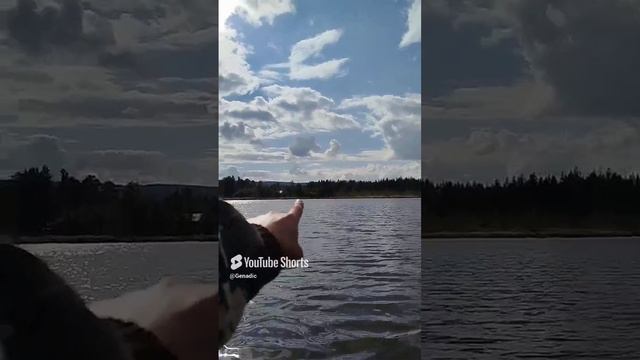 Летняя рыбалка 🎣 с лодки
