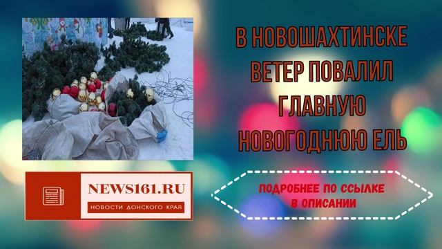 В Новошахтинске ветер повалил главную новогоднюю ель