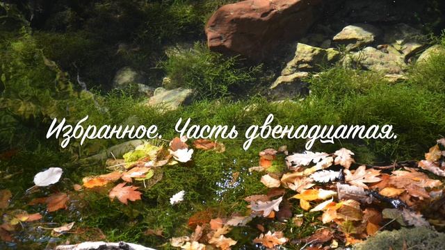 12 Избранное.