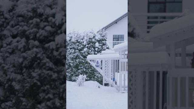 Место для семейного Новогоднего праздника в Санкт-Петербурге