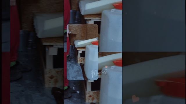 Жилой модуль в Газель