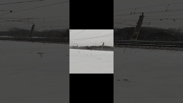 Автомотриса дизельная монтажная