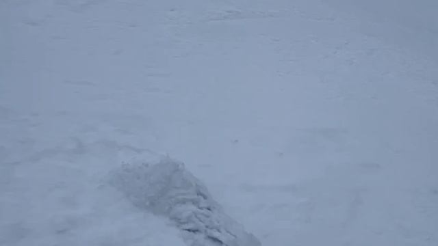 Активные выходные :)