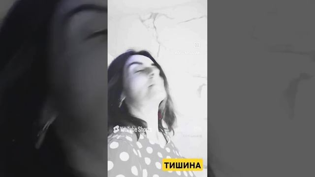 Тишина