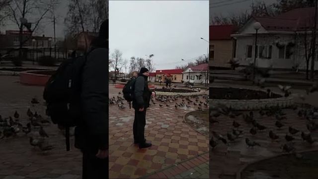 23-12-2024ptichki