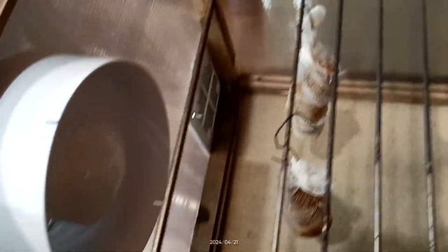 Сушилка для вяленого мяса!) Дегидратор