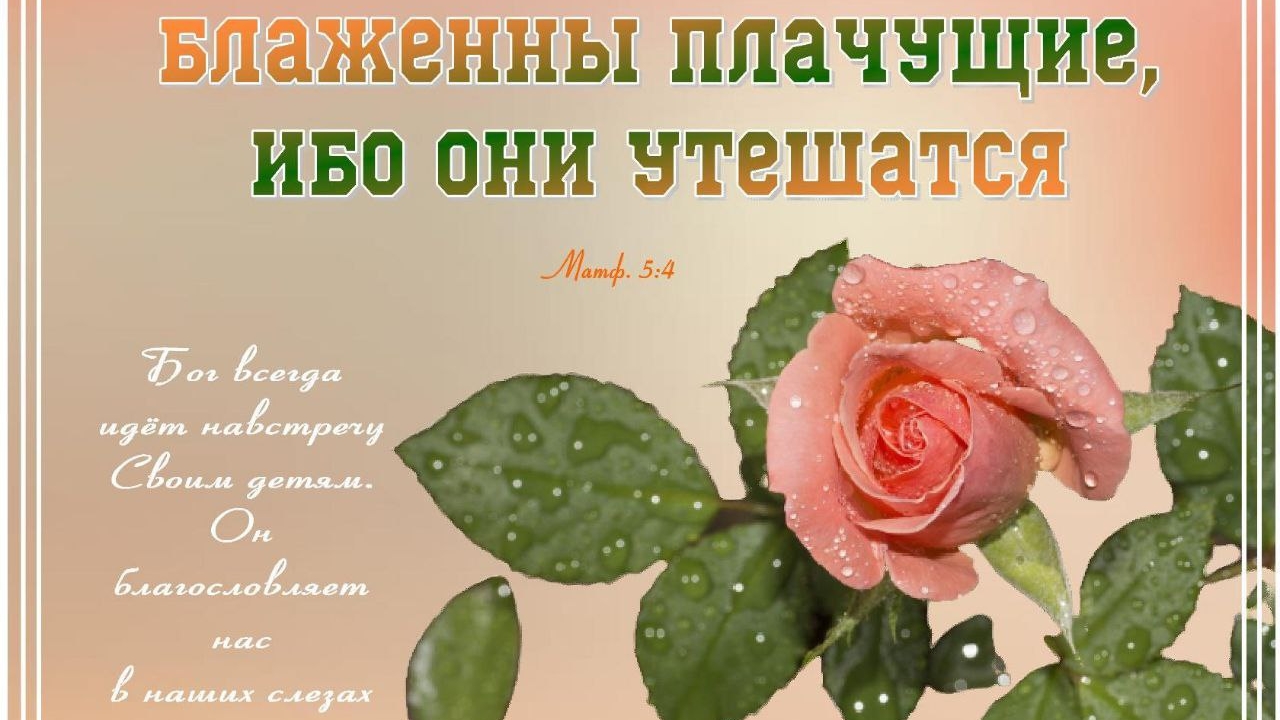 Перед Тобой поплачу, Иисус | христианская песня