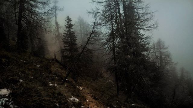 ColdWorld - NightFall