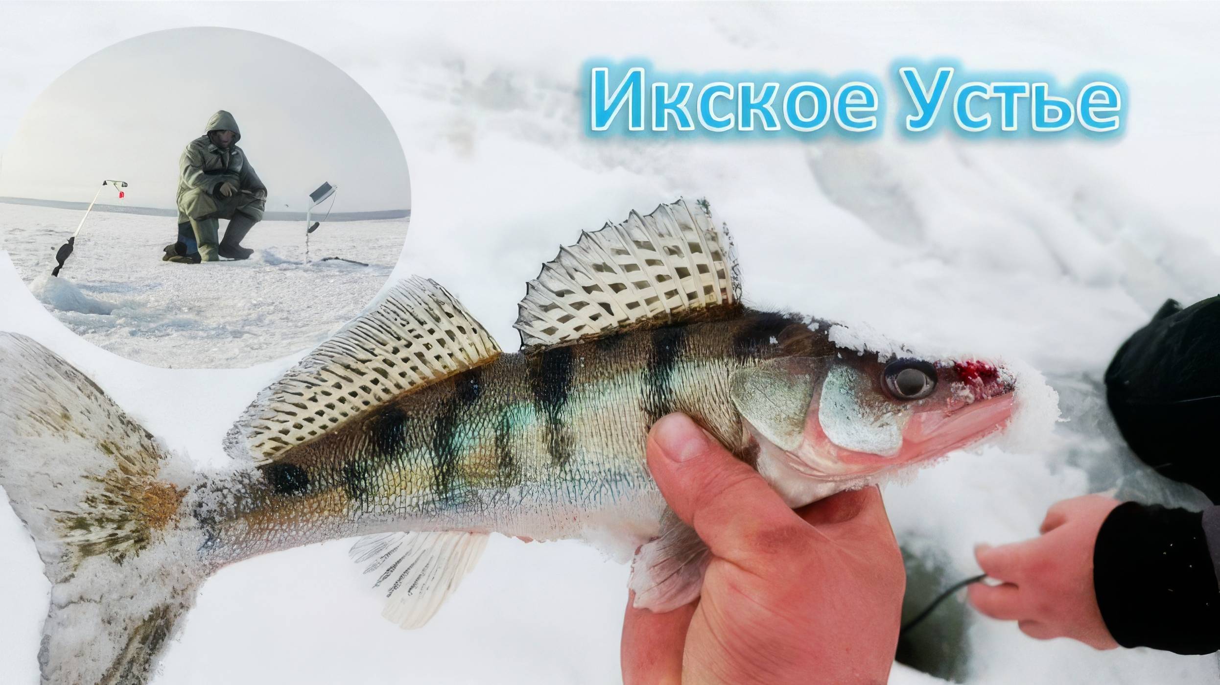 Ловим берша. Рыбалка с друзьями . Ижевка.