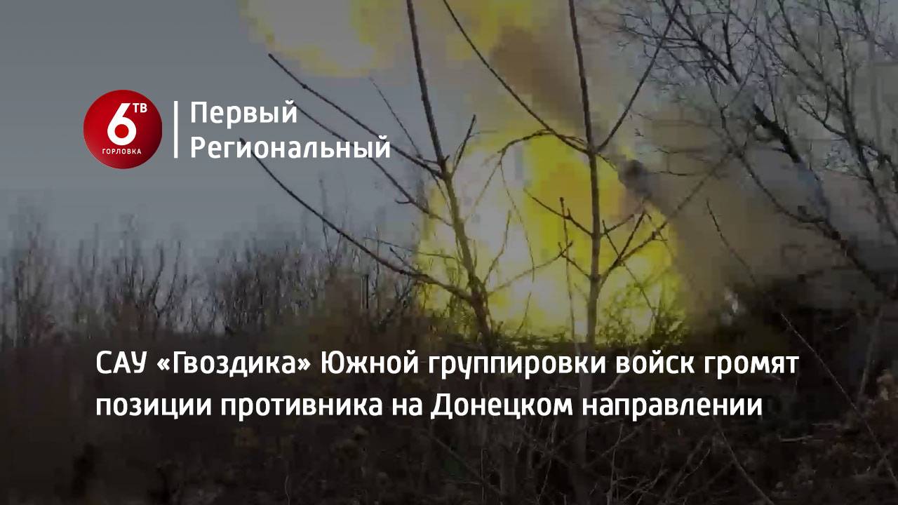 САУ «Гвоздика» Южной группировки войск громят позиции противника на Донецком направлении
