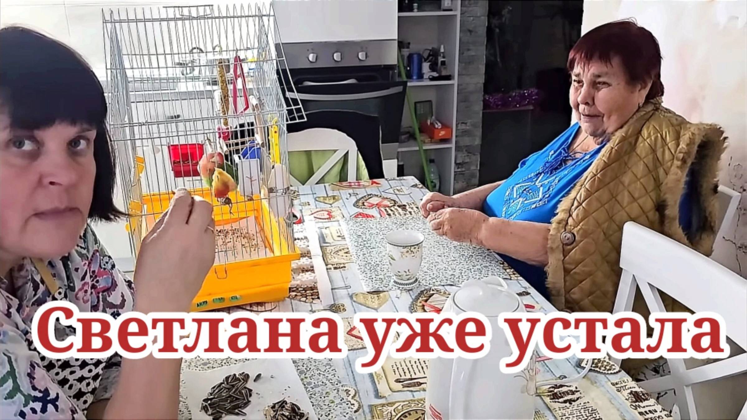 Светлана уже устала