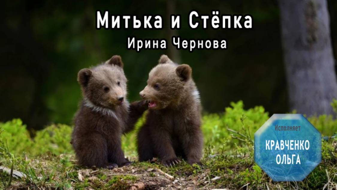 Митька и Стёпка. Ирина Чернова / Аудиорассказ