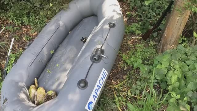 Впервые за восемь лет, выполнили суточную норму добычи утки.