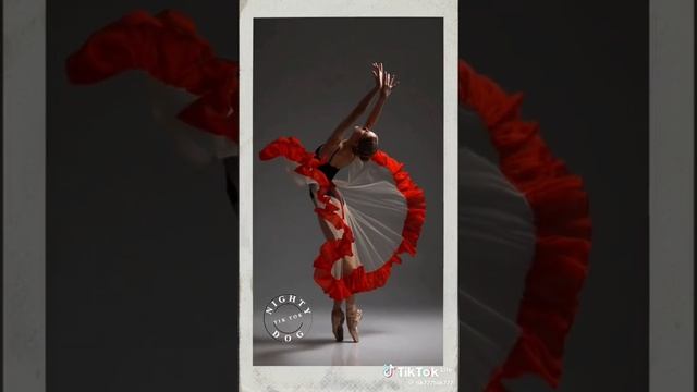 VID-20231120-WA0005.mp4