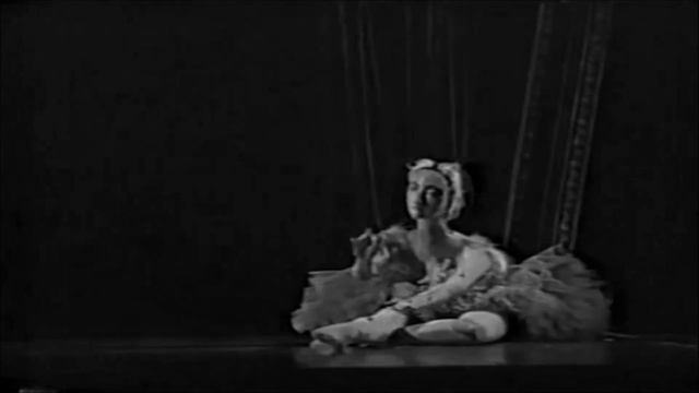 Svetlana Rassvetaeva (project) - Кукловод