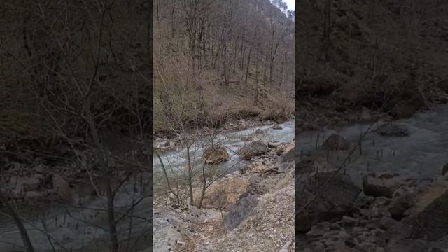 video_2024-04-01_13-19-05 (19)