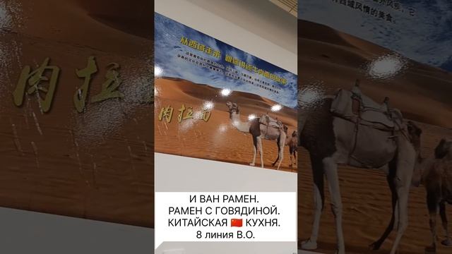 И ВАН РАМЕН. Китайская кухня в СПБ. Китайская лапша в Санкт-Петербурге. #спб #Питер #Петербург