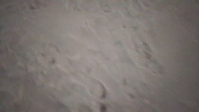 1000023107.mp4