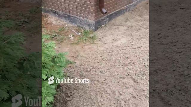 Готовим основание под водоотведение и брусчатку